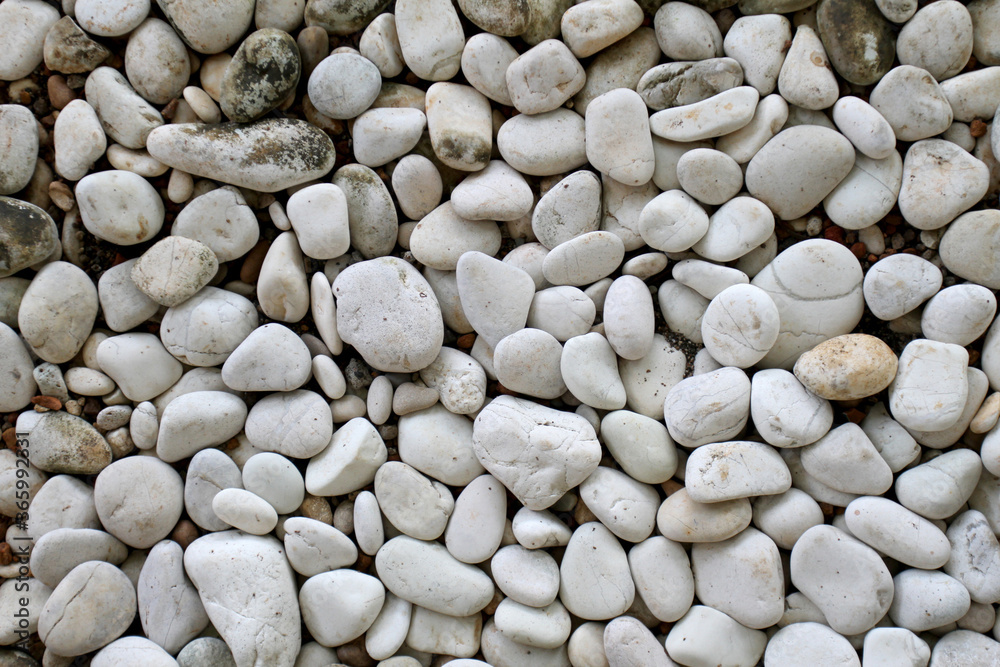 White pebbles stone texture and background. So many pieces of white pebbles stone. White pebbles stone overgrown with moss White pebbles stone texture and background. So many pieces of white pebbles stone. White pebbles stone overgrown with moss