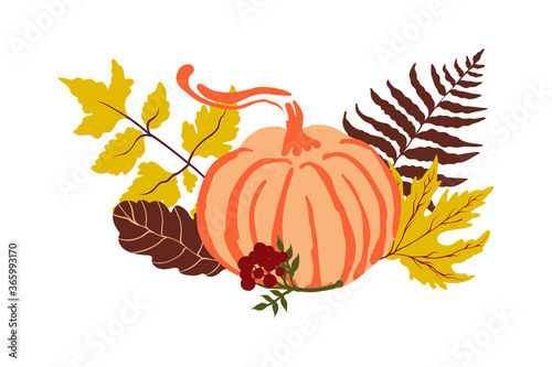 Autumn vector composition with pumpkins leaves and berries. Colourful stock illustrations of pumpkins and fall leaves.