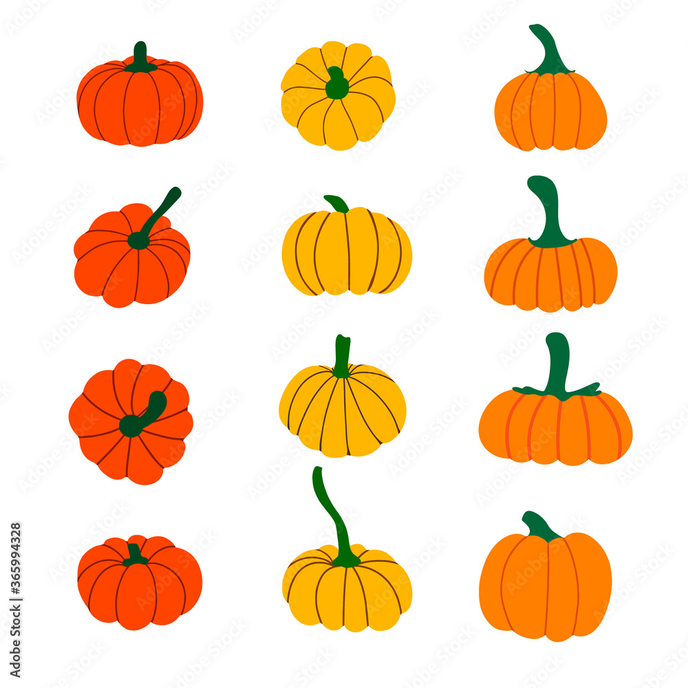 Set of pumpkins. Collection of orange, red, yellow pumpkins. Elements for Halloween and thanksgiving design.Autumn vegetables. Vector flat illustration