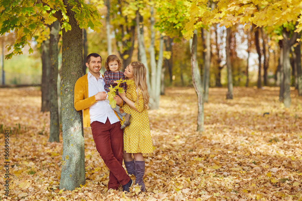 Family with daughter stand under yellow tree in park in autumn. Family with daughter stand under yellow tree in park in autumn.