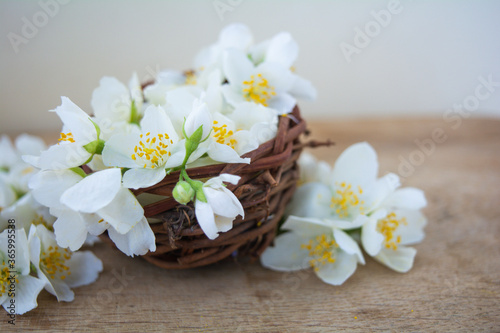 White jasmine flowers  traditional green tea ingredient  aromatherapy flavor