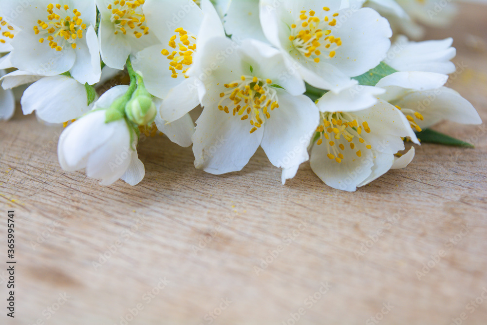 White jasmine flowers, traditional green tea ingredient, aromatherapy flavor White jasmine flowers, traditional green tea ingredient, aromatherapy flavor