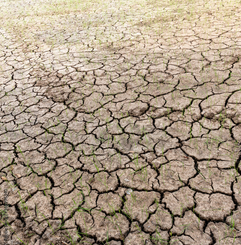 cracked soil on a paddy farm concept for climate change.