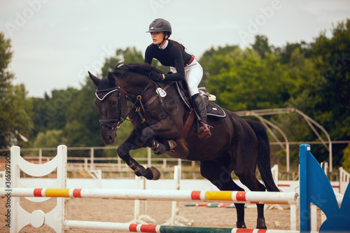 Equestrian sport - young girl rides on horse.