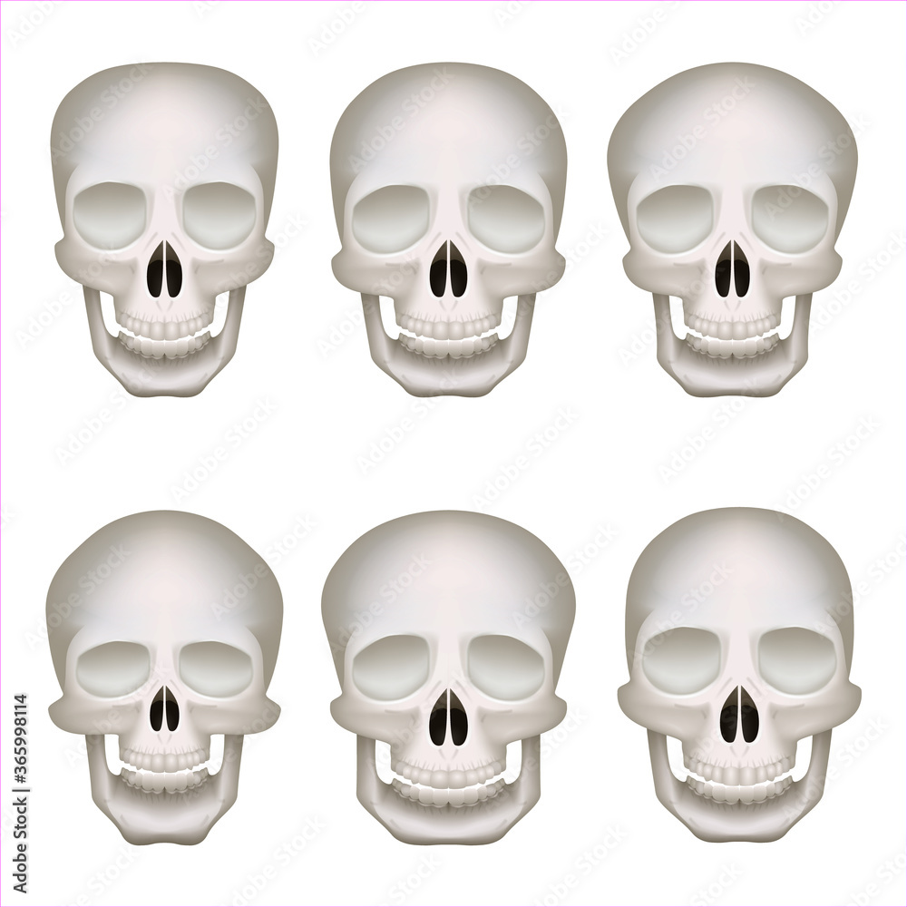 Realistic human skulls set isolated 3d vector illustration Realistic human skulls set isolated 3d vector illustration