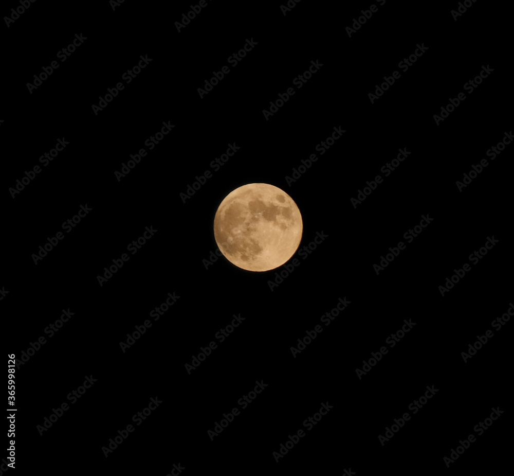 Obraz premium Full Moon