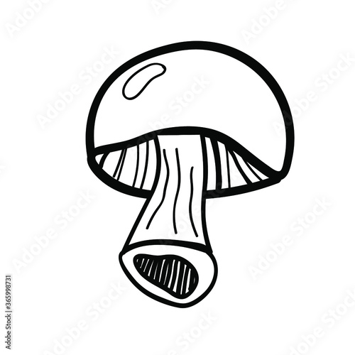 Vector illustration element  with mushroom in doodle style. Hand drawn food. Icon, symbol, logo. ingredient t for cook.