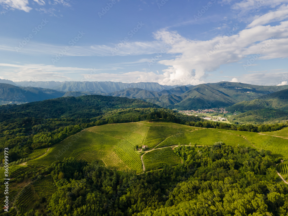 Aerial view of Friuli Venezia Giulia hills and mountains in Italy, Savorgnano del Torre, Italian wine countryside, vineyards at sunset, Udine Province 