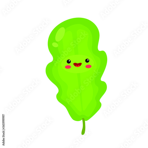 vector illustration with a leaf of lettuce. vegetables icon. cartoon flat style. stickers