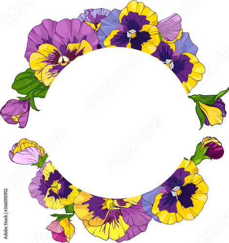 round frame with pansy flowers, wreath viola, yellow and purple flowers green leaves ornament , vector