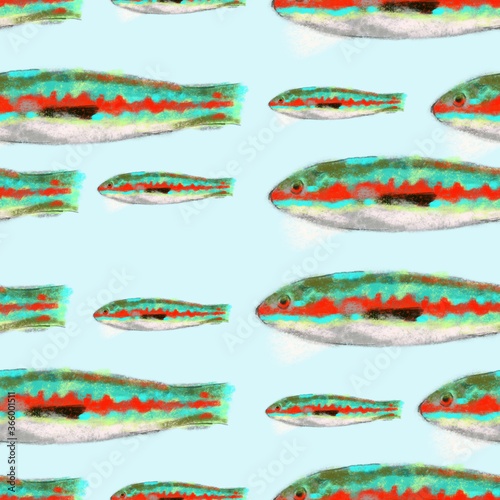 Donzella fish pattern from the Mediterranean sea, ideal footage for themes such as Mediterranean cuisine and Mediterranean fish