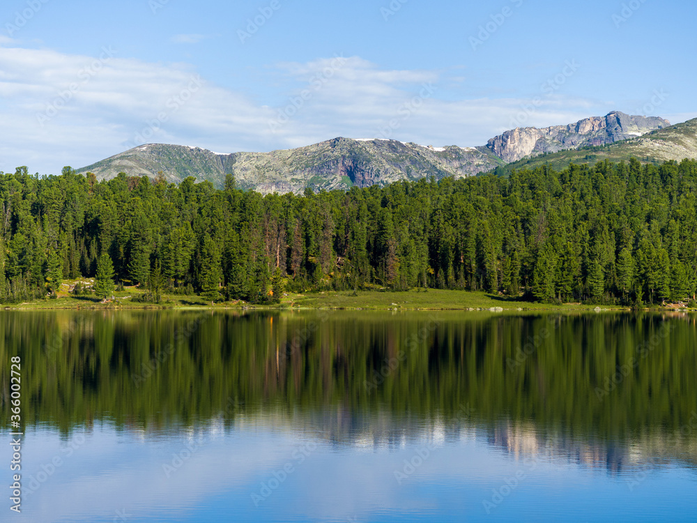 Lake in the forest. Trees are reflected in clear calm water. Wildlife landscape