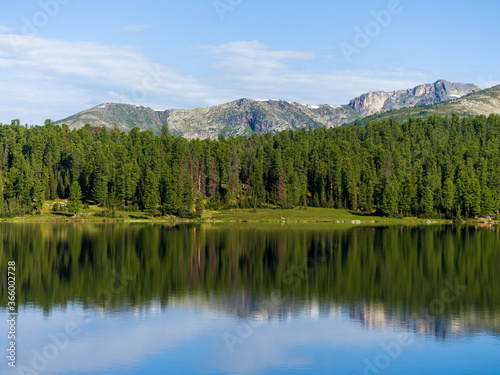 Fototapeta Naklejka Na Ścianę i Meble -  Lake in the forest. Trees are reflected in clear calm water. Wildlife landscape
