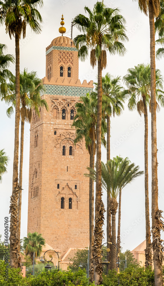 The Koutoubia View with Palm trees