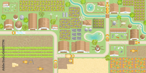 Green farm. (top view) Fields, vegetable gardens, hangars, buildings, barns, agricultural machinery, ponds, road. (view from above)