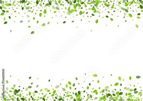 Green Foliage Blur Vector Background. Tree Leaves 