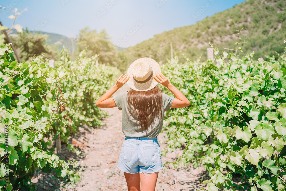 Woman in the vineyard in sun day