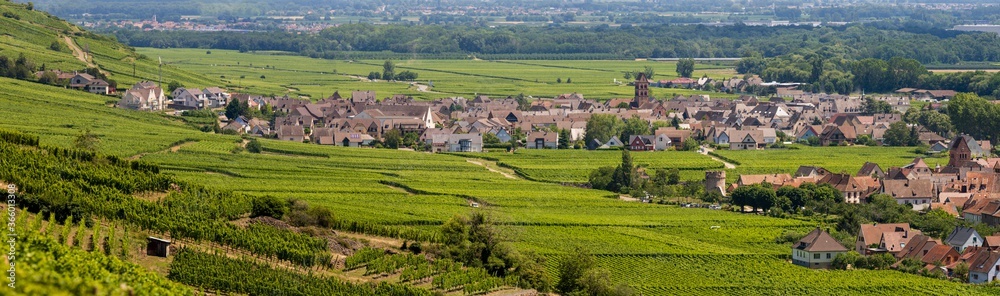 L'ancien village de Sigolsheim, aujourd'hui Kaysersberg vignoble, Haut-Rhin, Alsace, Grand Est, France