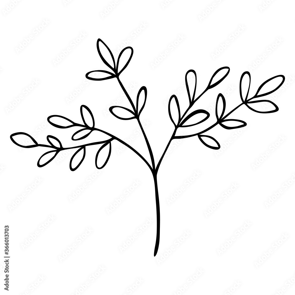 Hand drawn abstract floral sprig silhouette. Black and white outline vector illustration. Decorative branches. Spring and summer leaf icon. Doodle style.