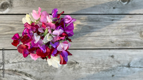 Bouquet sweet peas, flat lay, minimalist design, wooden grungy background. Photography from above. Backdrop, banner, perfect for social media, greeting or invitation cards, copy space, place for text.