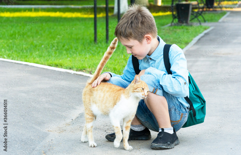 A schoolboy with a backpack stroking a cat in the school yard.
