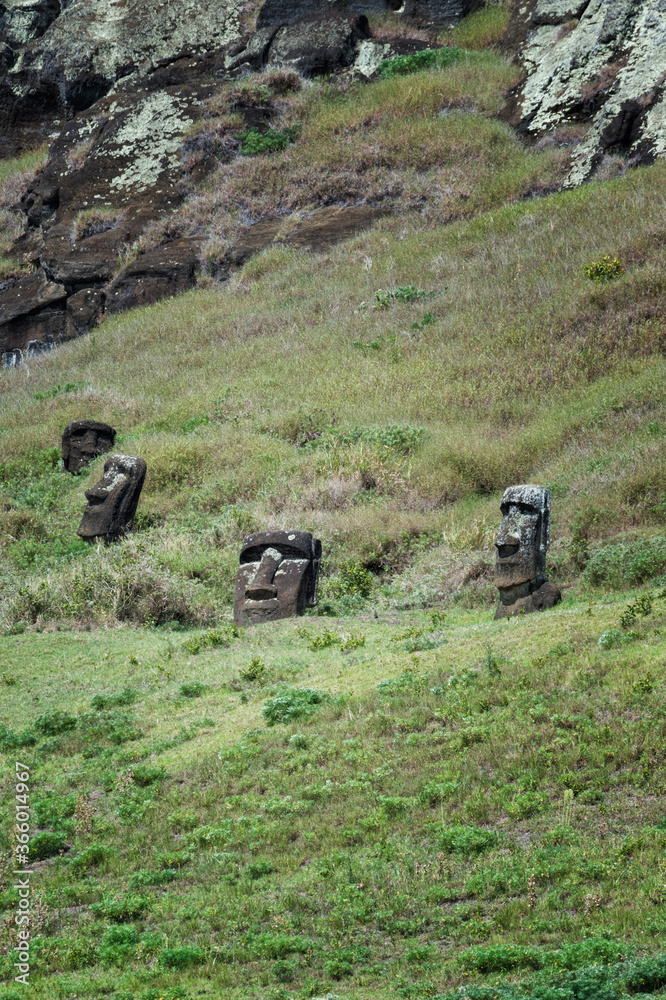 Moais on the flanks of Rano Raraku volcano, Rapa Nui National Park, Easter Island, Chile, Unesco World Heritage