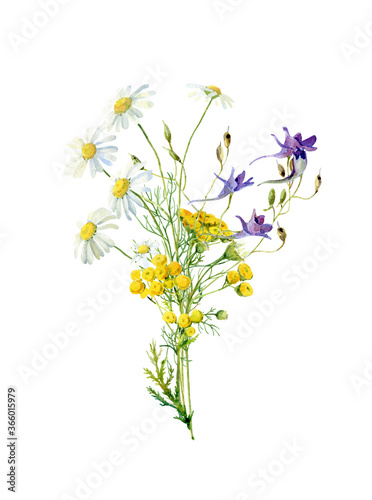 Watercolor bouquet of tansy  daisies and blue flowers