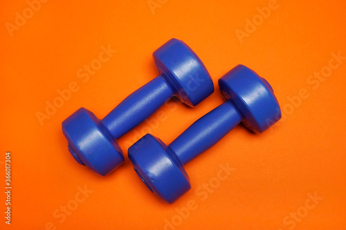 Weights to practice exercise at home. Fit and strong arms. Home or gym sport equipment. Dumbbell for fitness workout. Strength concept.
