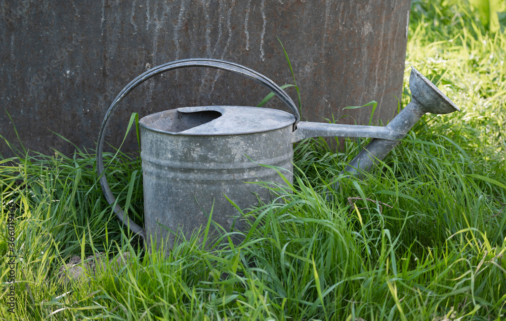 old metal watering can standing in the tall grass old metal watering can standing in the tall grass