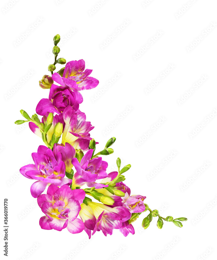 Pink and yellow freesia flowers in a corner arrangement