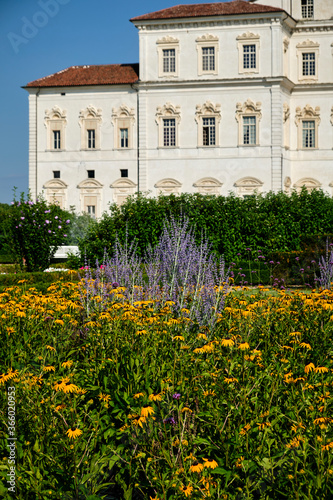 Foto scattata nei giardini della Reggia di Venaria Reale a Torino.