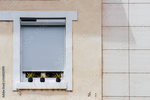 Obraz na płótnie Fenêtre d'un immeuble avec volet roulant et trois pots décoratifs avec plantes vertes - Architecture style minimaliste w salonie