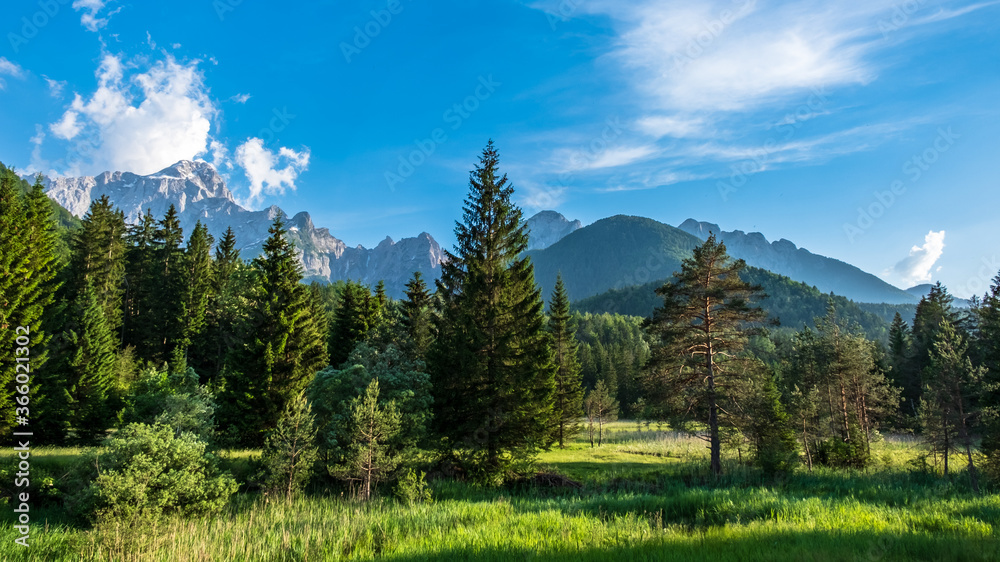 Summer has arrived in the italian alps Summer has arrived in the italian alps