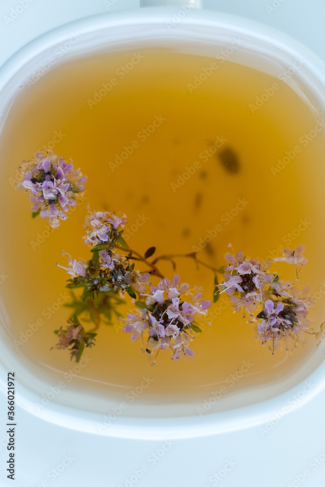 herbal tea.Tea with thyme.Tea with a teacup.White background.Close up.Space for text.Postcard. herbal tea.Tea with thyme.Tea with a teacup.White background.Close up.Space for text.Postcard.