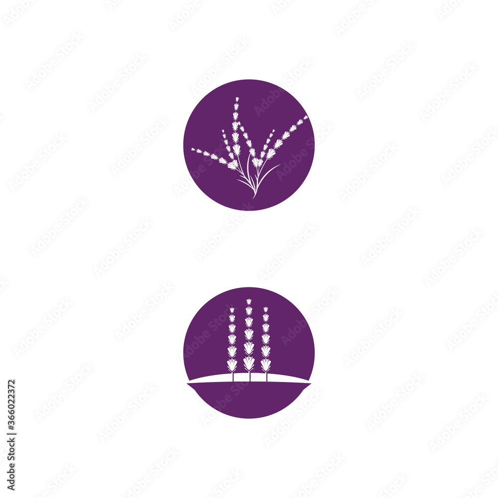 Lavender Logo Template vector symbol Lavender Logo Template vector symbol