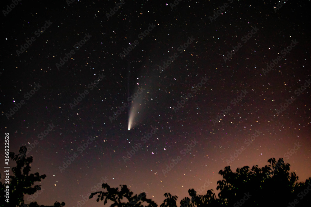Fototapeta premium Neowise paysage