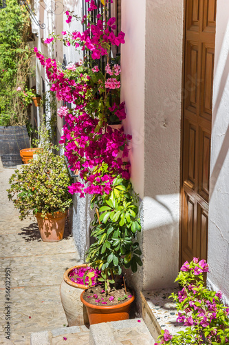 Fototapeta Naklejka Na Ścianę i Meble -  Flowers at the entrance of a traditional white house in Zahara, Spain