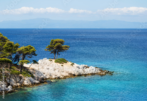 Two trees stand on the picturesque cliff at Cap Armando on the island of Skopelos, which was the location of the musical Mamma Mia. photo