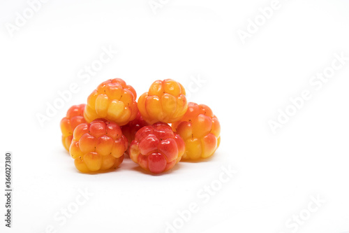 Cloudberry ripe berries close up isolated on white background. 