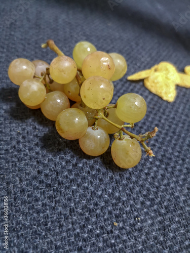 A sprig of yellow raisins lying on a dark blue structural fabric