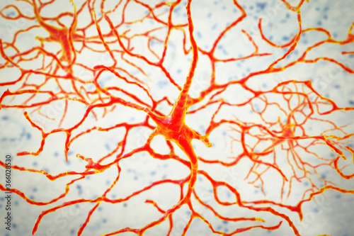 Quadro su tela Retinal neuron, a neuron that plays crucial role in vision, it transforms the op