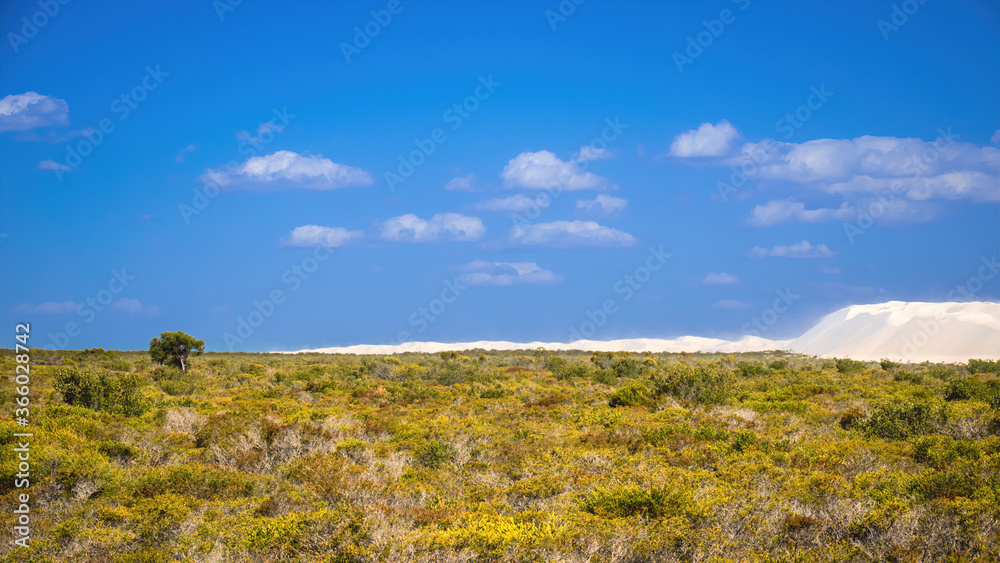 white dune in Western Australia