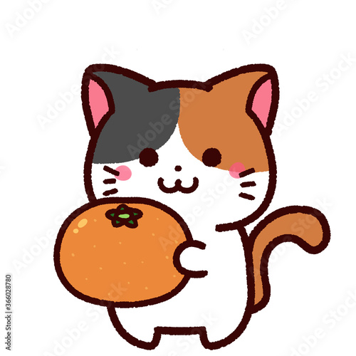 ミカンを持ったかわいい三毛猫のキャラクター Stock Illustration Adobe Stock