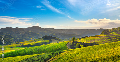 Radda in Chianti vineyard and panorama at sunset. Tuscany  Italy