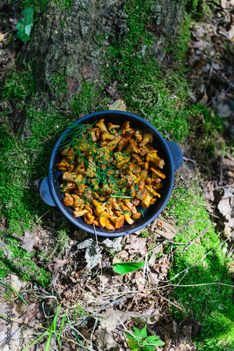 Fried chanterelles in a pan against the background of the forest. Vertical orientation, top view.