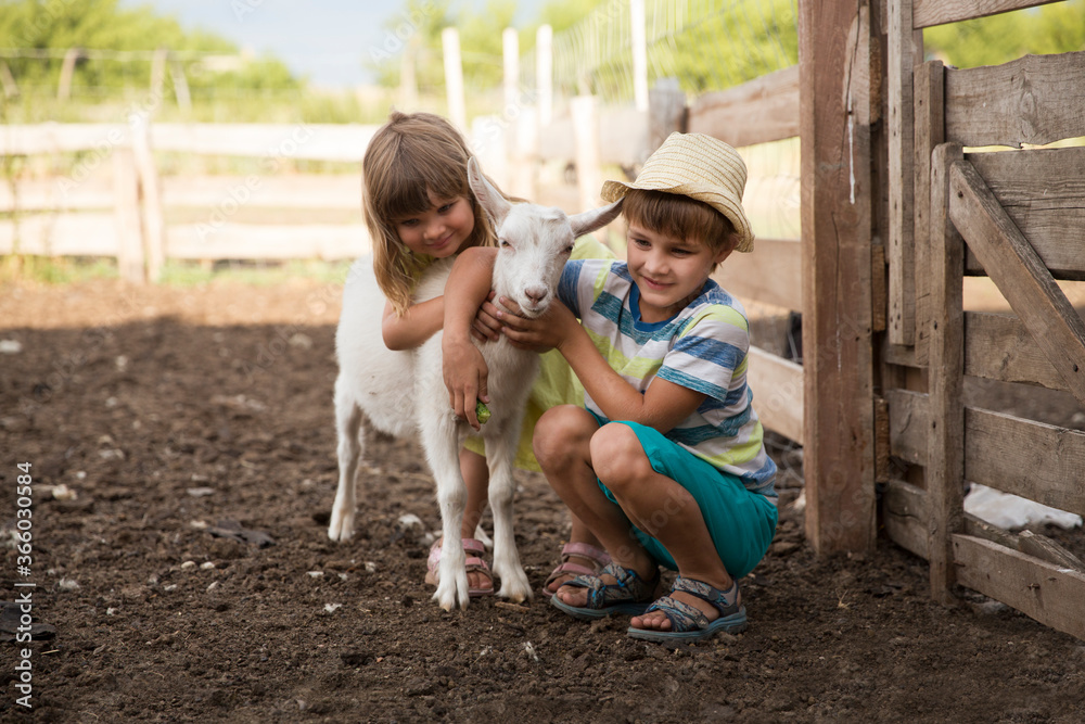 two children brother and sister embrace a goat on a farm in the summer. Staycations, hyper-local travel,  family outing, getaway, natural environment