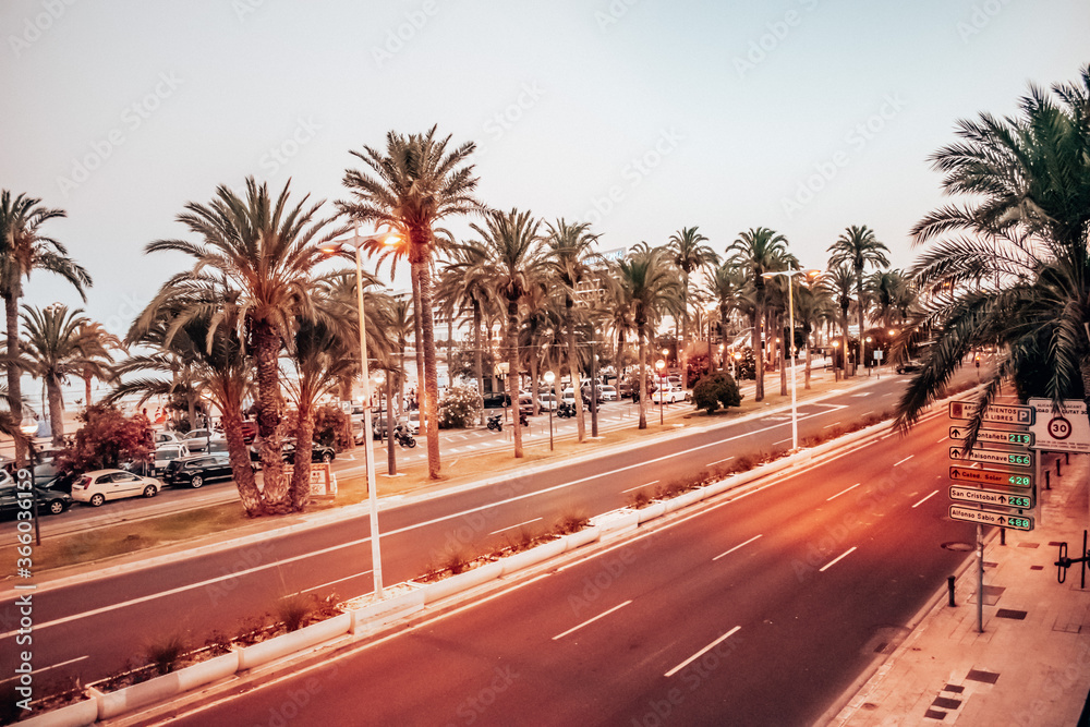 Palm trees near the sea with a street in Alicante Spain