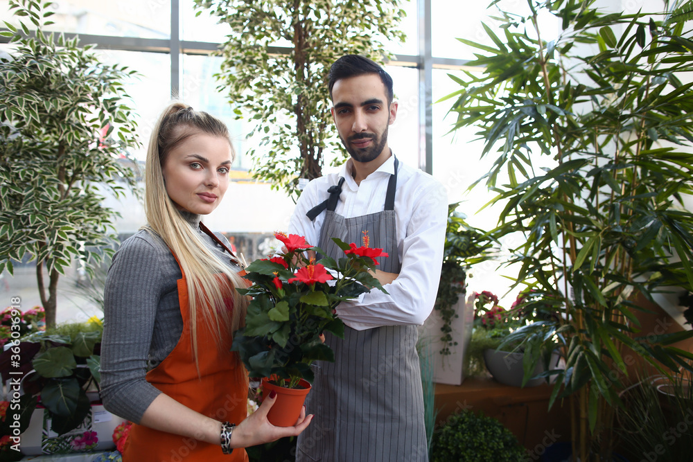Waist up portrait of smiling female and male standing in aprons and holding pot plants