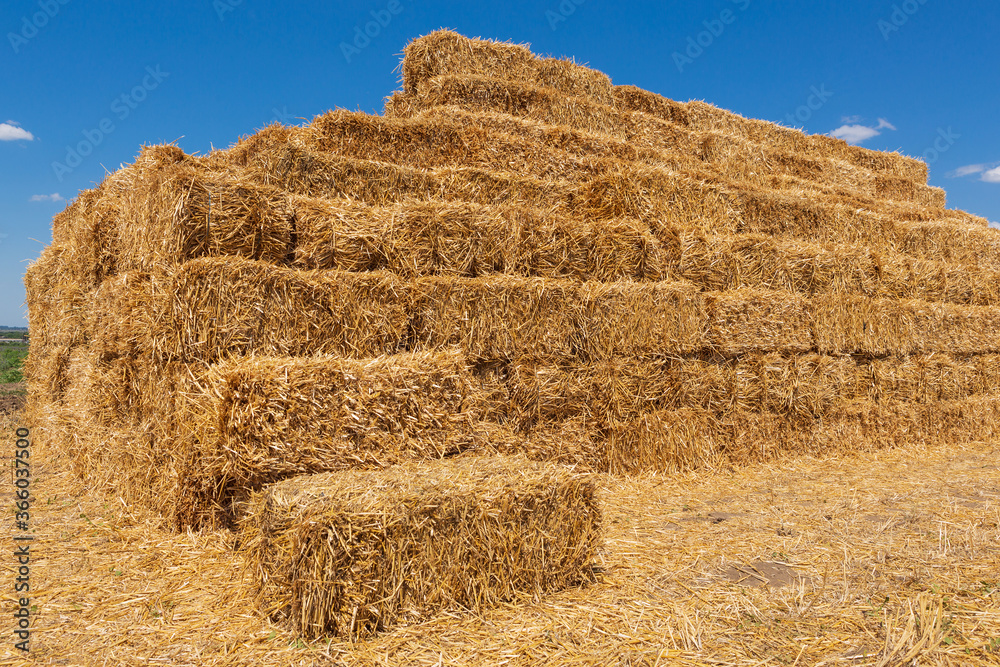 bales of yellow straw laid out in a stack similar to a pyramid, farmland during harvest