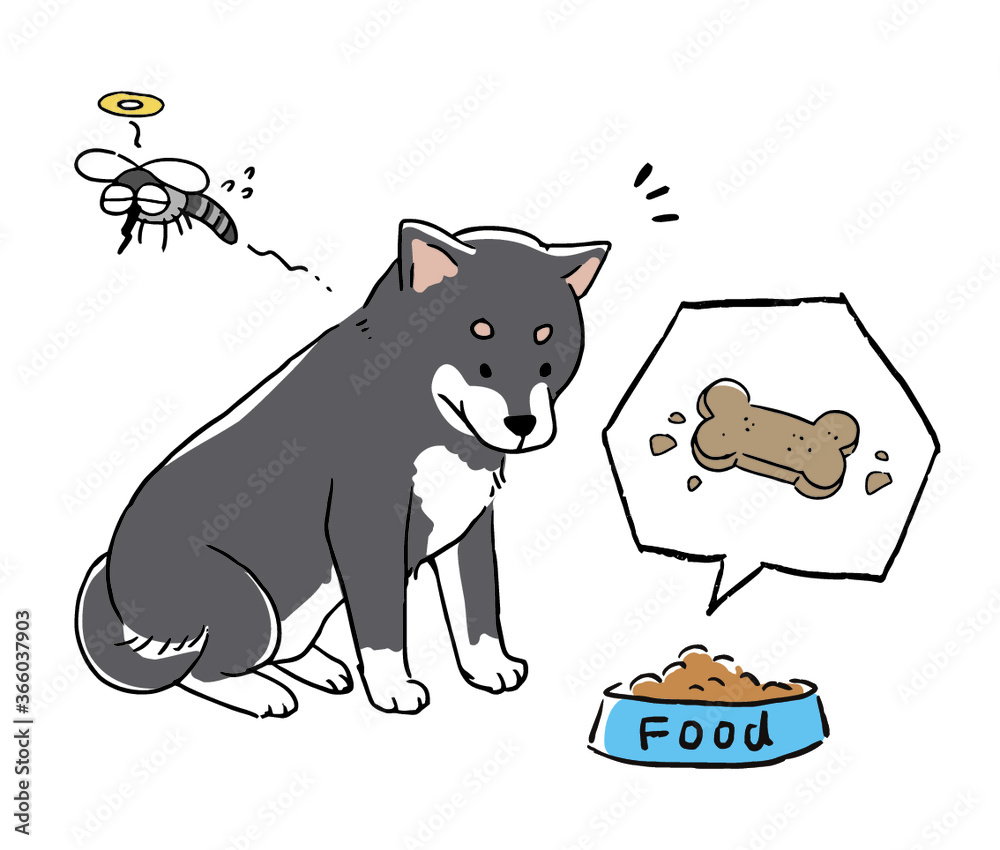 柴犬とフィラリア予防の薬イラスト Stock Vector Adobe Stock